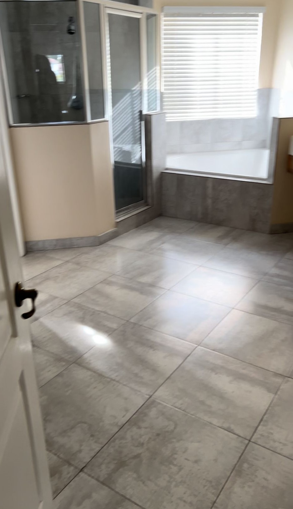 Proyecto